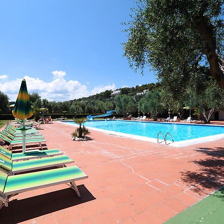 Villaggio Turistico Camping Parco Degli Ulivi Peschici Exterior foto