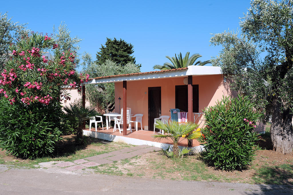 Villaggio Turistico Camping Parco Degli Ulivi Peschici Zimmer foto