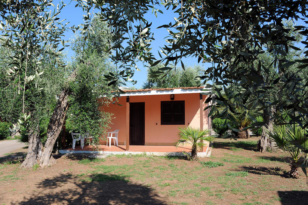 Villaggio Turistico Camping Parco Degli Ulivi Peschici Exterior foto